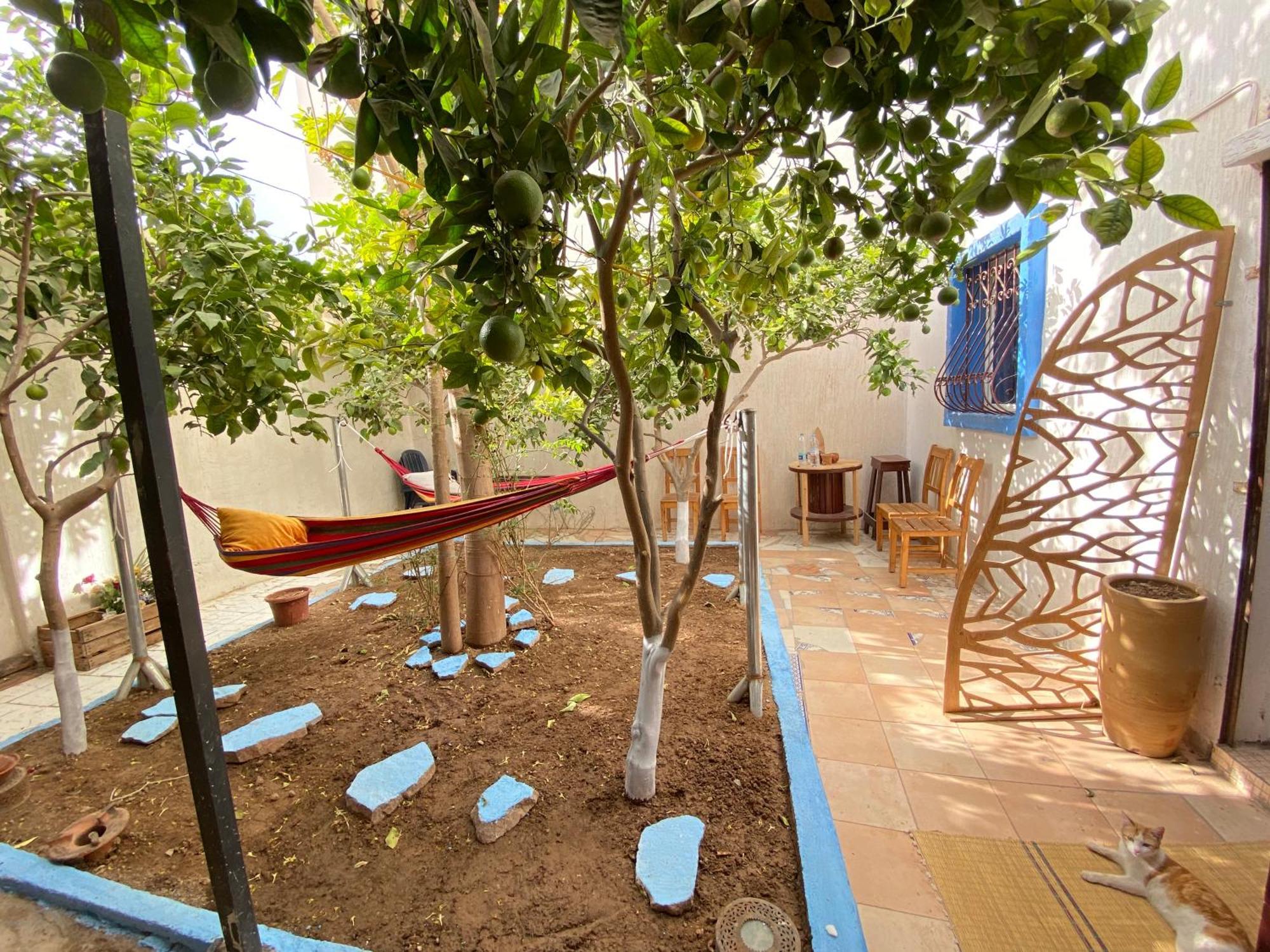فندق Red Carpet Surf Camp Sea, Mountain & Garden Escape Tamraght المظهر الخارجي الصورة